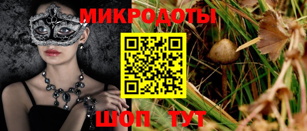 Зеленогорск  купить наркотики цена  Вход с VPN  Галлюциногенные грибы мухоморы 